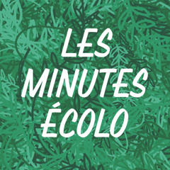 Les minutes écolos - Les légumes d'été avec le CPIE du Rouergue