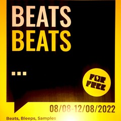 Beats Bleeps and Samples Dub