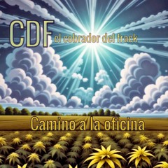 CDF - Camino a la oficina