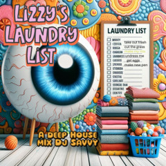 Lizzy's Laundry List
