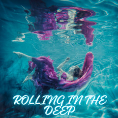 Vinova - Rolling In The Deep (Remix)