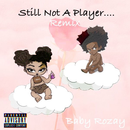 Still Not A Player (Remix).
