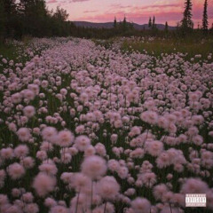 can't get enough ft. luvurts