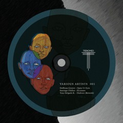 Tony Delgado R.  - Disfruto (Rework) TRNM001