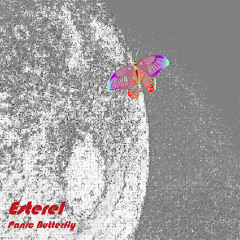 Panic Butterfly