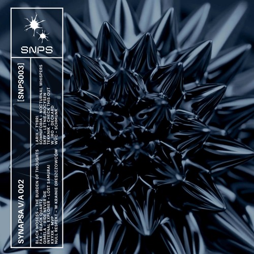 blackmosess - The Burden Of Thoughts [SNPS003]