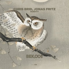 Chris Brid, Jonas Fritz - Oudity (Original Mix)