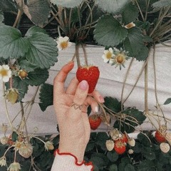 strawberry fields