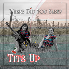 Where Did You Sleep Last Night Cover Acoustique
