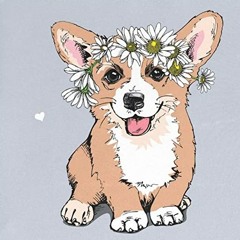 🌼corgis are too adorable for this planet🌼