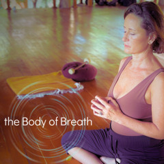 Observing Patterns Seated Breath