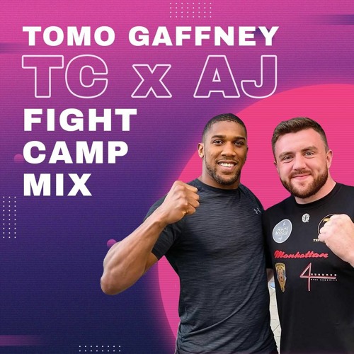Fight camp stream sale