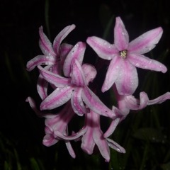 this is what u came for