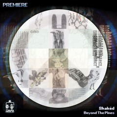 Shakèd ─ Beyond The Pines [Intifada Rec]
