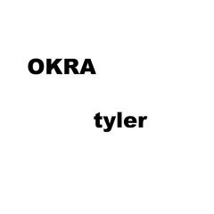 Tyler the creator