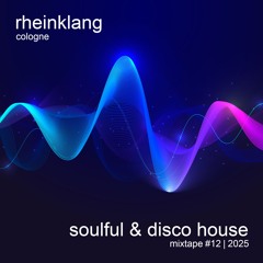 soulful & disco house - 12 | 2025 [120-126BPM]