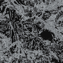 kuroyuki. (black snow)  (2nd ver.)