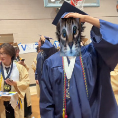 graduation clips