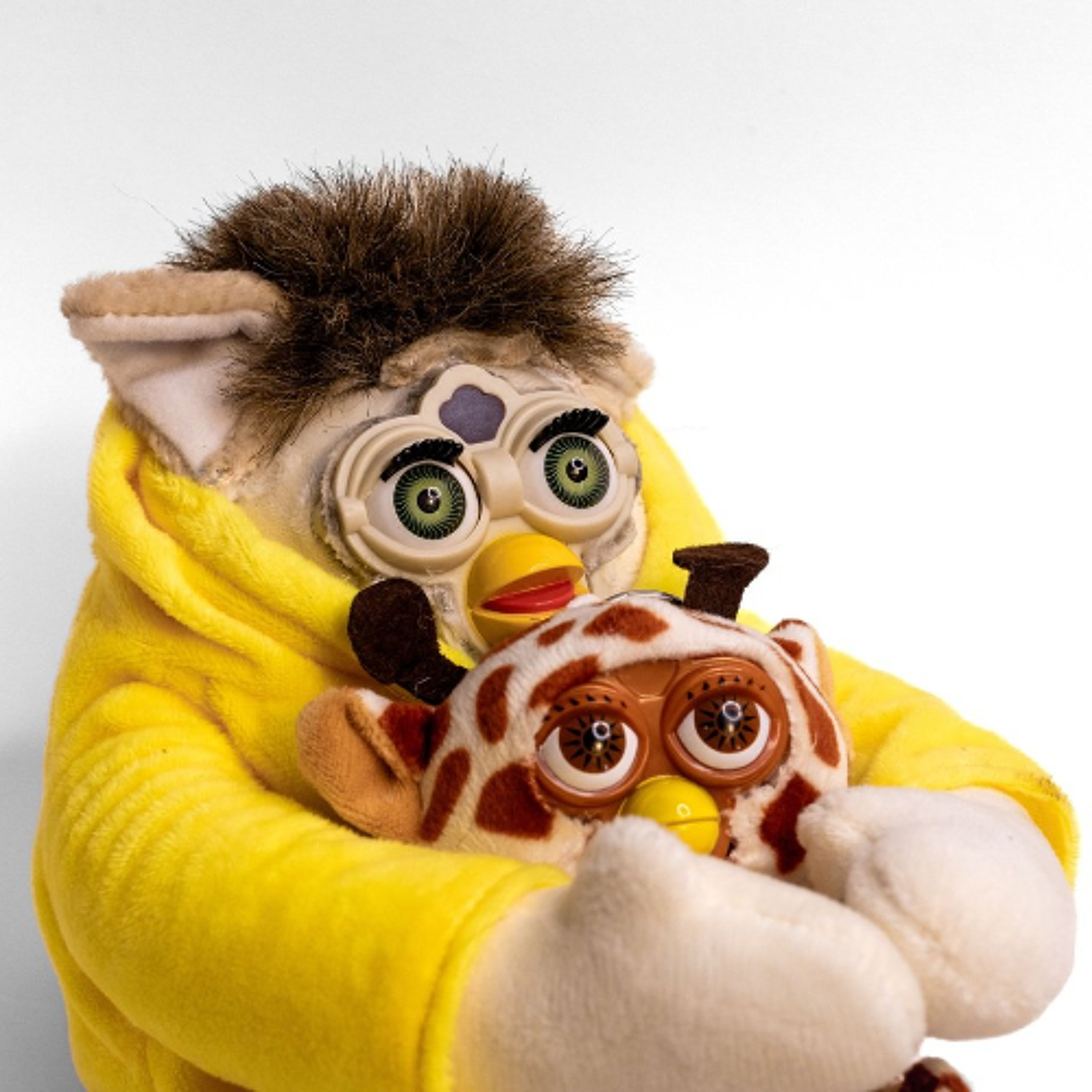 Friday the Furbteenth 03202026