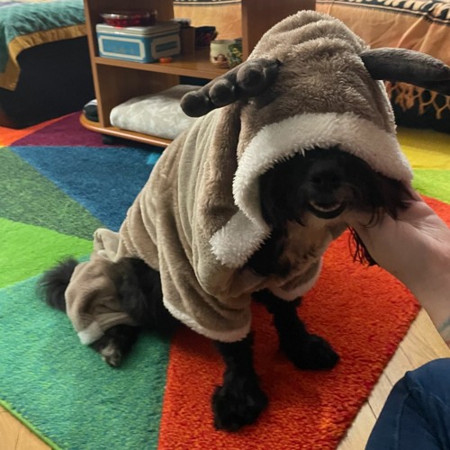 Stream Echo w/ DYL 13th January 2023 by Black Rhino Radio Listen