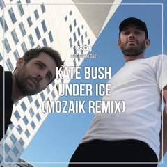 Free Download : Kate Bush - Under Ice (Mozaik Remix)