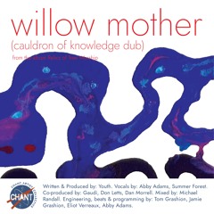 Willow (Water) Mix 1.2 4424