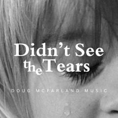 Didn't See the Tears