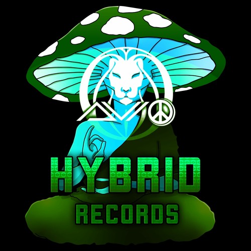 Avio - Bounce Hi | Hybrid Radio 2.o