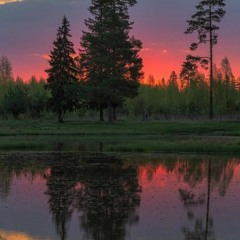 𝓴𝓪𝓻𝓭𝓪𝓪𝓷𝓸𝓿 - Roberto Kan - Dreamers