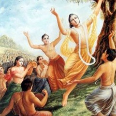 Journey To Vṛndāvana