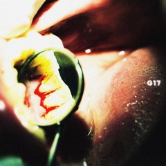 G17 (PROD. TRULIFE)