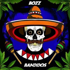 Bozz - Bandidos (OUT on Rave Forest 12 - ANIMAL REVENGE)