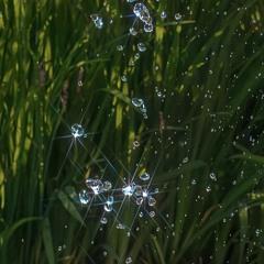 찬송 for 효정Sr.