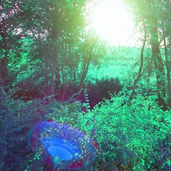 Bird In Hand (Glitch Dub Remix)