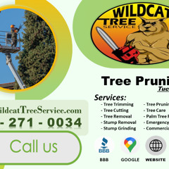 Tree Pruning Tucson, AZ