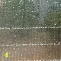 Pierre Thomas - RainDrop
