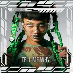 Re1ntergr8 - Tell Me Why (Wip)