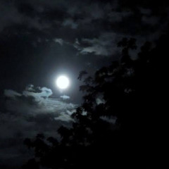 One Aprils Night (Progressive)