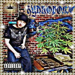 HYDROPONICS! [PROD SCARXPAIN]