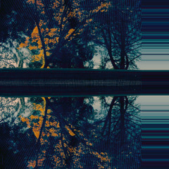 TallTree