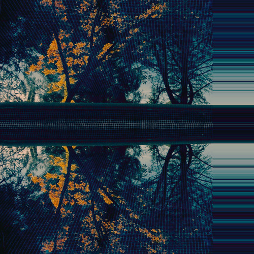 TallTree