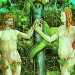 Tried And True (Ween Cover)[SSP, Tullow]