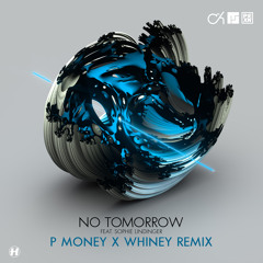 No Tomorrow (P Money X Whiney Remix) [feat. Mefjus & Sophie Lindinger]