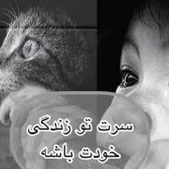 سرتو از زندگی بقیه دربیار بکن تو زندگی خودت