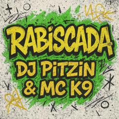 Rabiscada - DJ PITZIN & MC K9.m4a