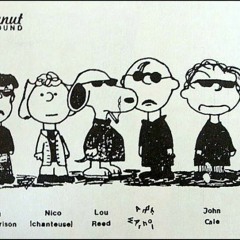 There She Goes  - Velvet underground cover