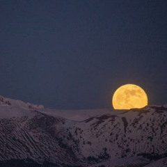 Morphed Moon