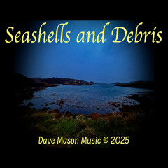 Seashells and Debris