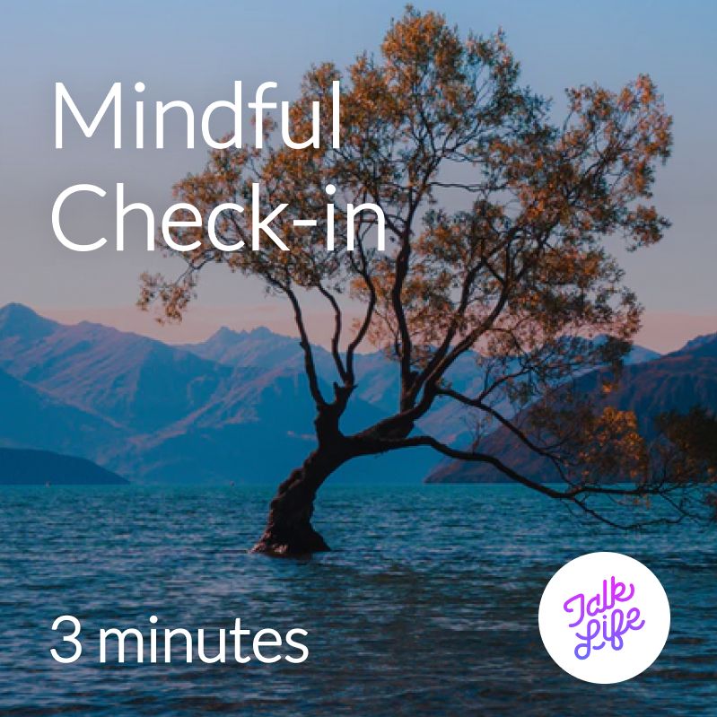 Mindful Check-in (3 min)