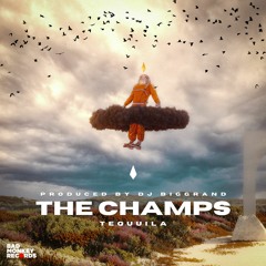 The Champs - Tequuila (DJ BigGrand TechHouse Edit)